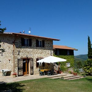 Il Canto Dell'Asino